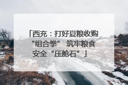 西充：打好夏粮收购“组合拳” 筑牢粮食安全“压舱石”