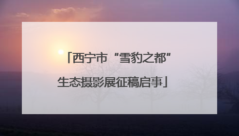 西宁市“雪豹之都”生态摄影展征稿启事