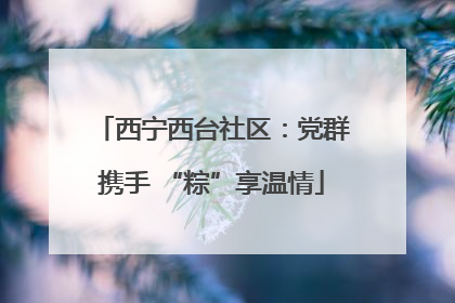 西宁西台社区：党群携手 “粽”享温情