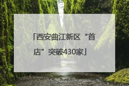 西安曲江新区“首店”突破430家