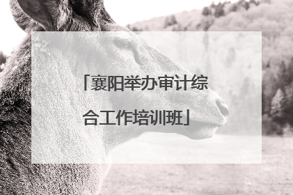 襄阳举办审计综合工作培训班