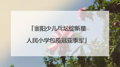 襄阳少儿乓坛绽新星 人民小学包揽冠亚季军