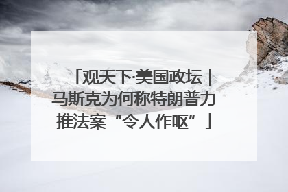 观天下·美国政坛｜马斯克为何称特朗普力推法案“令人作呕”