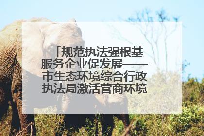 规范执法强根基 服务企业促发展——市生态环境综合行政执法局激活营商环境“绿色动能”