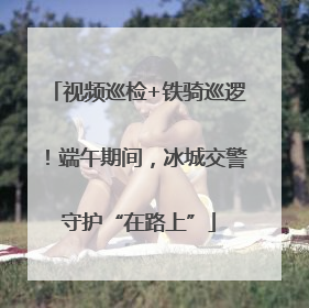 视频巡检+铁骑巡逻！端午期间，冰城交警守护“在路上”