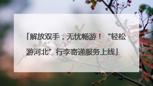 解放双手，无忧畅游！“轻松游河北”行李寄递服务上线