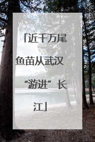 近千万尾鱼苗从武汉“游进”长江