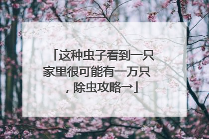 这种虫子看到一只家里很可能有一万只，除虫攻略→