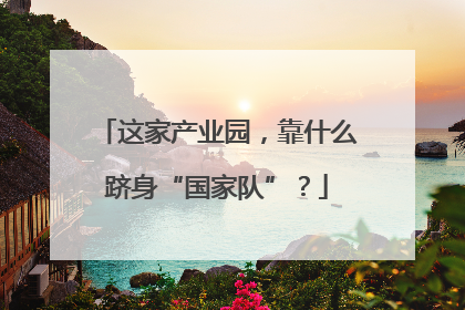 这家产业园，靠什么跻身“国家队”？