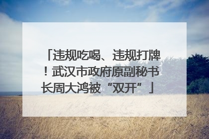 违规吃喝、违规打牌！武汉市政府原副秘书长周大鸿被“双开”