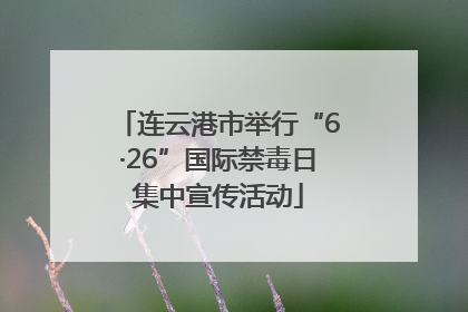 连云港市举行“6·26”国际禁毒日集中宣传活动