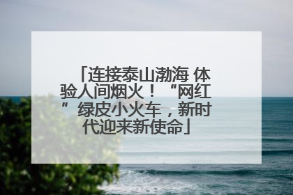 连接泰山渤海 体验人间烟火！“网红”绿皮小火车，新时代迎来新使命