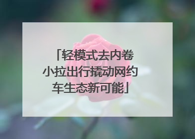 轻模式去内卷 小拉出行撬动网约车生态新可能