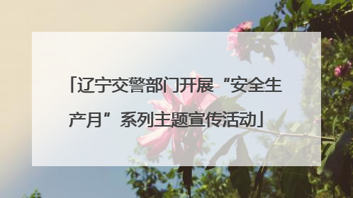 辽宁交警部门开展“安全生产月”系列主题宣传活动