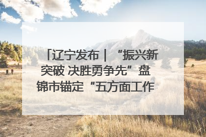 辽宁发布｜“振兴新突破 决胜勇争先”盘锦市锚定“五方面工作”力争全年地区生产总值增长5.5%左右