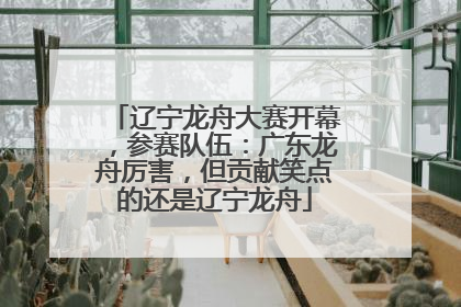辽宁龙舟大赛开幕，参赛队伍：广东龙舟厉害，但贡献笑点的还是辽宁龙舟