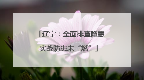 辽宁：全面排查隐患 实战防患未“燃”