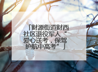 财源街道财西社区退役军人“爱心送考，保驾护航中高考”