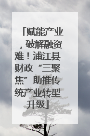 赋能产业，破解融资难！浦江县财政“三聚焦”助推传统产业转型升级
