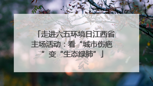 走进六五环境日江西省主场活动：看“城市伤疤”变“生态绿肺”