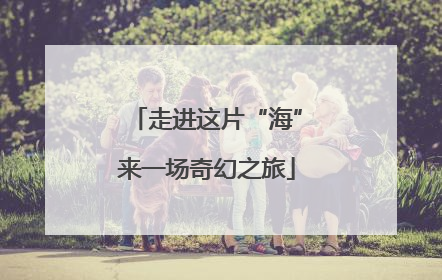 走进这片“海”来一场奇幻之旅