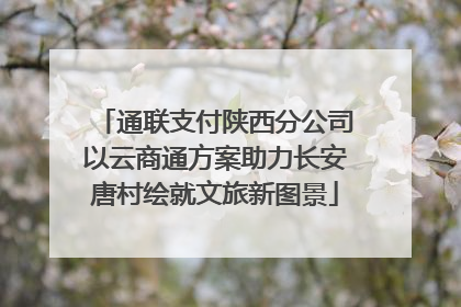 通联支付陕西分公司以云商通方案助力长安唐村绘就文旅新图景