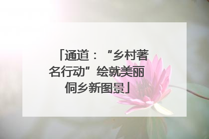 通道：“乡村著名行动”绘就美丽侗乡新图景