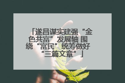 遂昌谋实建强“金色共富”发展轴 围绕“富民”统筹做好“三篇文章”