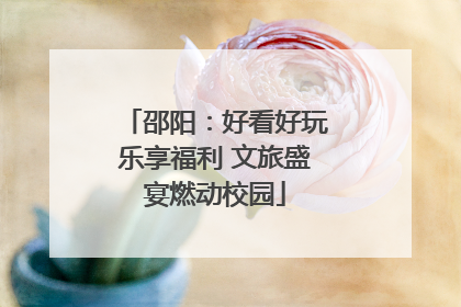 邵阳：好看好玩乐享福利 文旅盛宴燃动校园