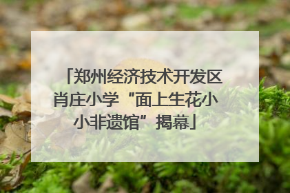 郑州经济技术开发区肖庄小学“面上生花小小非遗馆”揭幕