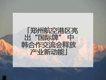 郑州航空港区亮出“国际牌” 中韩合作交流会释放产业新动能