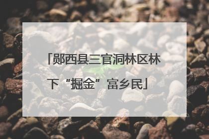 郧西县三官洞林区林下“掘金”富乡民