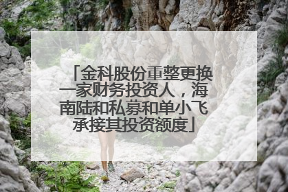 金科股份重整更换一家财务投资人，海南陆和私募和单小飞承接其投资额度