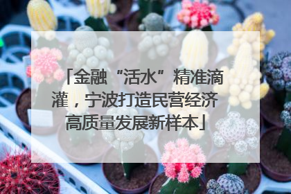 金融“活水”精准滴灌，宁波打造民营经济高质量发展新样本