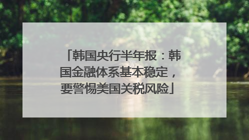 韩国央行半年报：韩国金融体系基本稳定，要警惕美国关税风险