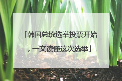 韩国总统选举投票开始，一文读懂这次选举