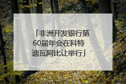 非洲开发银行第60届年会在科特迪瓦阿比让举行