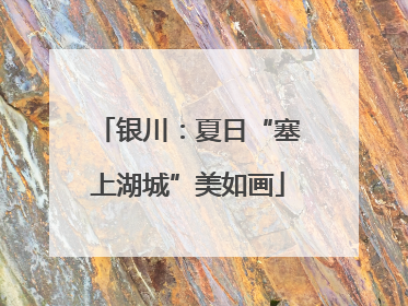 银川：夏日“塞上湖城”美如画