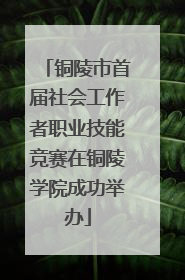 铜陵市首届社会工作者职业技能竞赛在铜陵学院成功举办