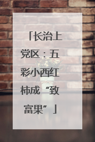 长治上党区：五彩小西红柿成“致富果”