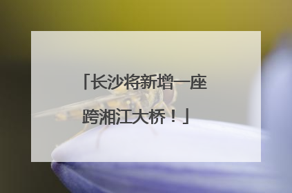 长沙将新增一座跨湘江大桥！
