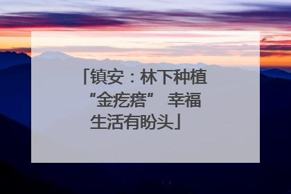 镇安：林下种植“金疙瘩” 幸福生活有盼头