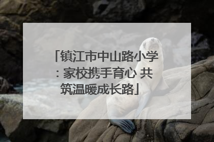 镇江市中山路小学：家校携手育心 共筑温暖成长路
