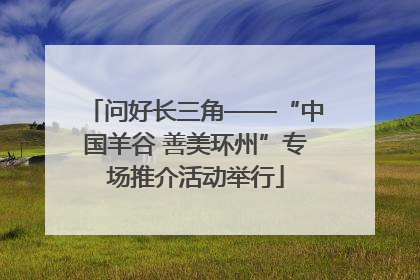 问好长三角——“中国羊谷 善美环州”专场推介活动举行