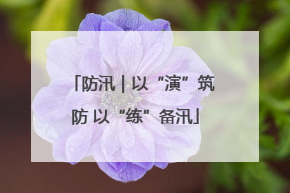 防汛｜以“演”筑防 以“练”备汛