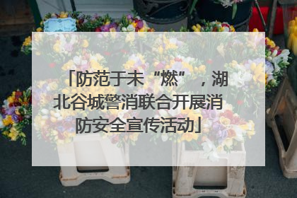 防范于未“燃”，湖北谷城警消联合开展消防安全宣传活动