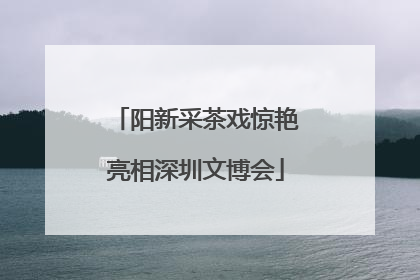 阳新采茶戏惊艳亮相深圳文博会