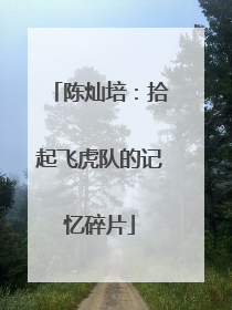 陈灿培：拾起飞虎队的记忆碎片