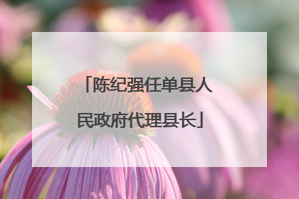 陈纪强任单县人民政府代理县长