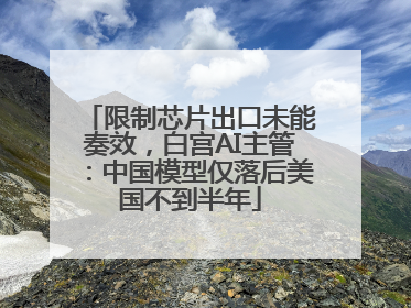 限制芯片出口未能奏效，白宫AI主管：中国模型仅落后美国不到半年